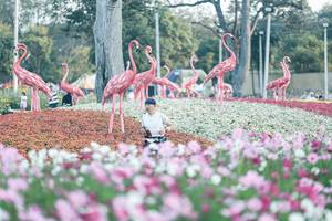 BIB: 
                            <button type="button" onclick="openModal(27344037)" class="btn btn-primary btn-sm float-right btn-popup" data-toggle="modal" data-target=".modal-high-quality">
                        <i class="fas fa-shopping-cart"></i> Add to Cart
                    </button>
                                            <button type="button" onclick="isThisMe(27344037, true)" class="btn btn-success btn-sm float-right btn-popup btn-isme hidden" data-toggle="tooltip" data-placement="bottom" title="นี่คือรูปของคุณใช่ไหม คลิกที่นี่เพื่อเอาเข้าอัลบั้ม">
                        <i class="fas fa-plus"></i> Add to album
                    </button>
                    <button type="button" onclick="isThisMe(27344037, false)" class="btn btn-warning btn-sm float-right btn-popup btn-isnotme hidden">
                        <i class="fas fa-ban"></i> Remove from album
                    </button>